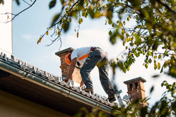 Best Storm Damage Roof Repair  in Davisboro, GA