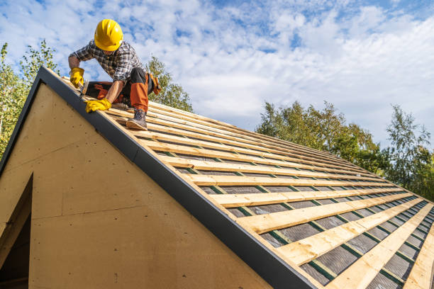 Roof Gutter Cleaning in Davisboro, GA