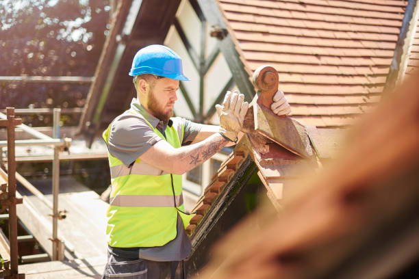 Best Roof Maintenance Services  in Davisboro, GA