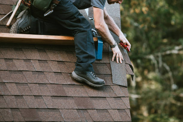 Best Roof Waterproofing Services  in Davisboro, GA
