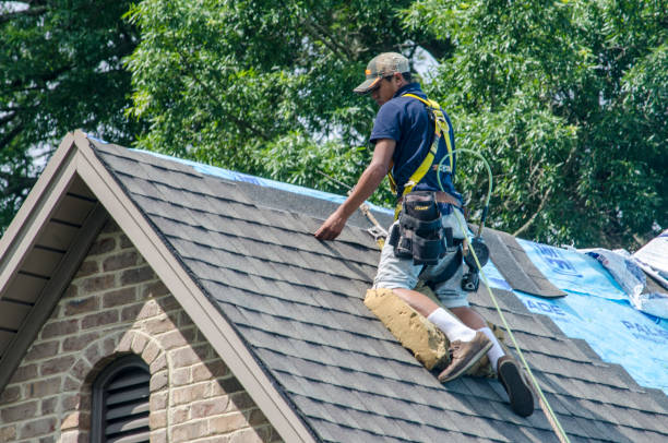 Best Roof Replacement Cost  in Davisboro, GA